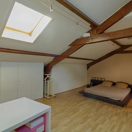 Tres Bel Cours Napoleon Apartmán